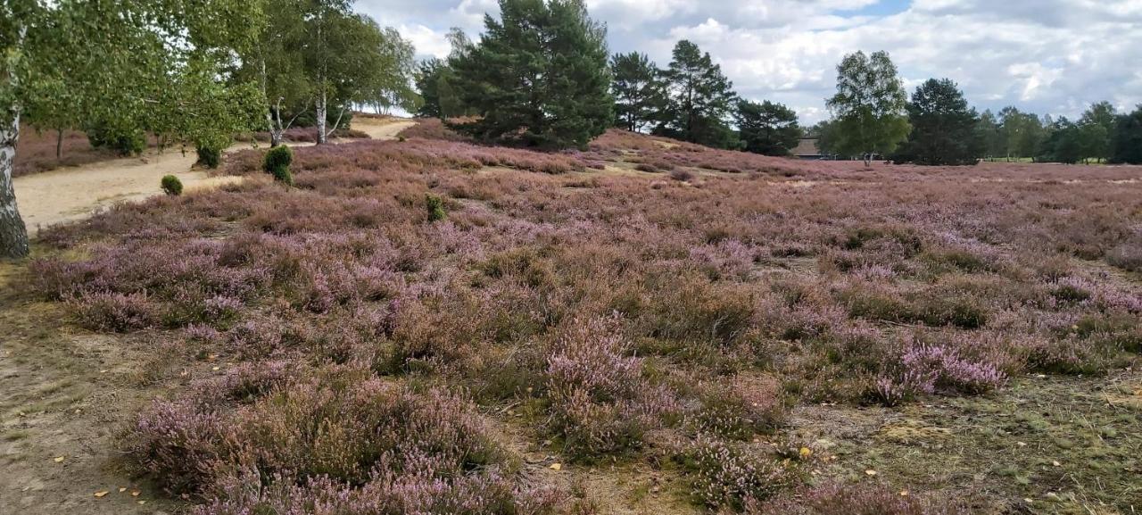 De Luet Ferienhof Jameln Exterior foto